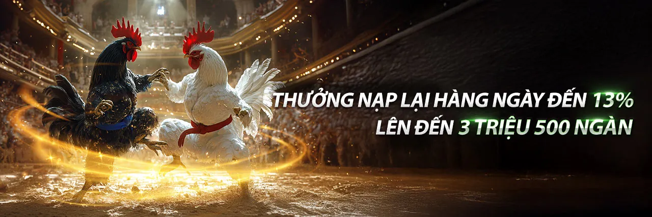Đá Gà Trực Tuyến PC28 Hấp Dẫn